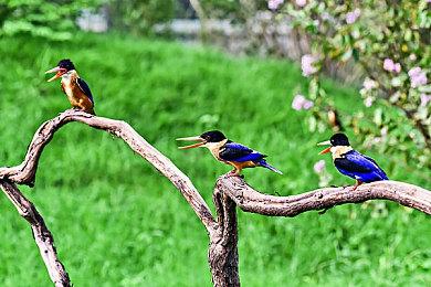 PS豪华版《师父》玩家下载出错 官方赔礼道歉