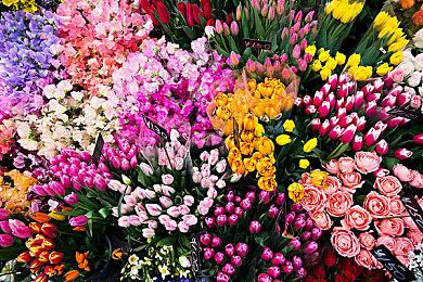 Bungie很有可能已在开发《命运3》了